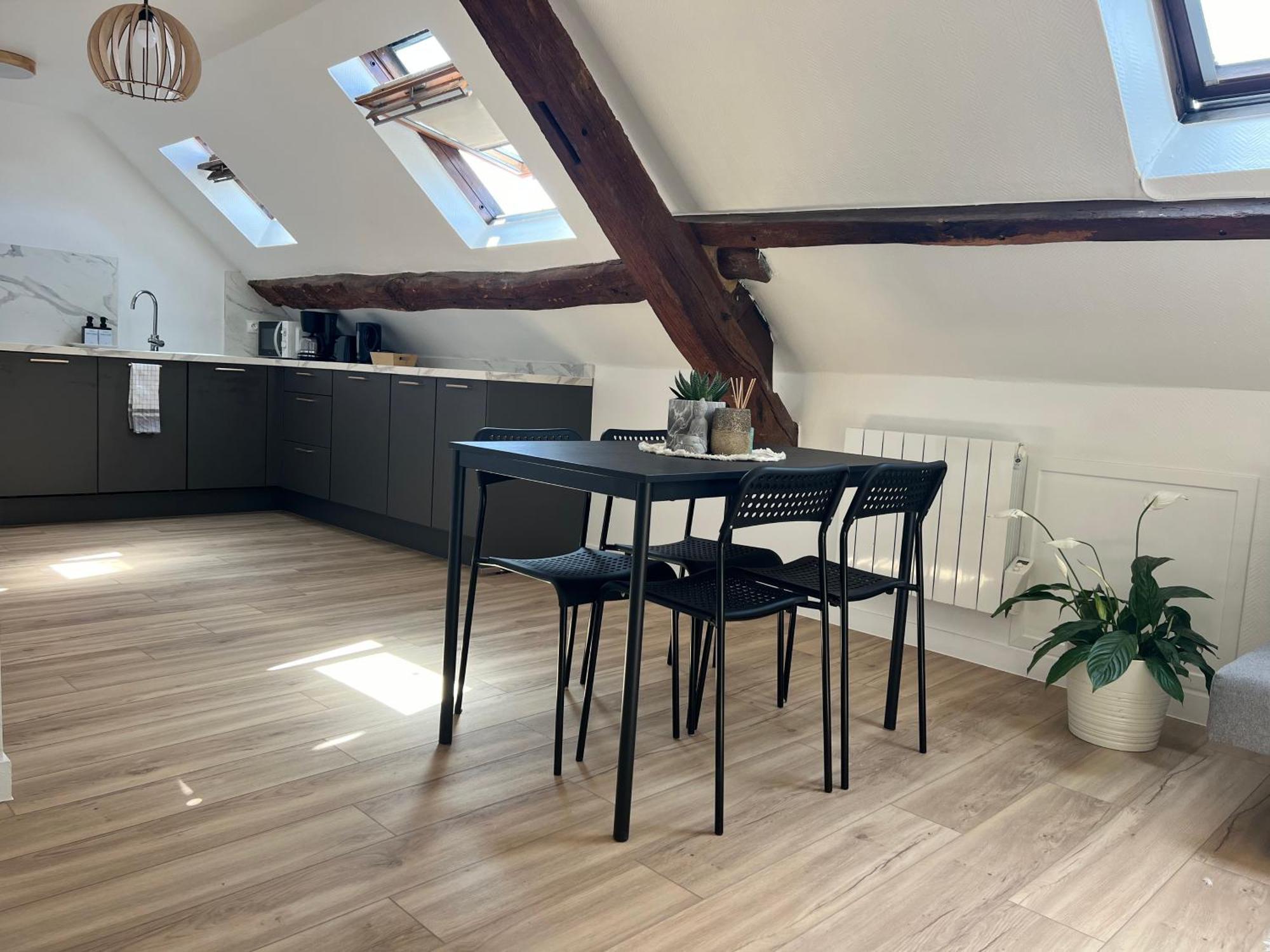 Appart Asterix Cdg Parc Expo Paris Chantilly Apartment Plailly Exterior photo